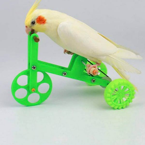 Visland Bird Bicycle Toy, Mini Plastic Funny Green Interactive Training Bike Toy Bird Foot Talon Toy for Parakeets Conures Macaws Parrots Love Birds Finches