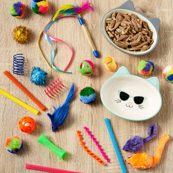 Vibrant Life 24 Piece Value Pack Cat Toys