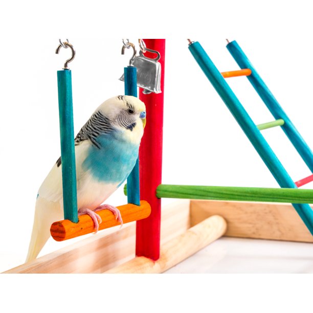 Penn-Plax Bird Life Wood Playpen – Perfect for Parakeets, Parrotlets, Lovebirds, Cockatiels, and Green Cheek Conures