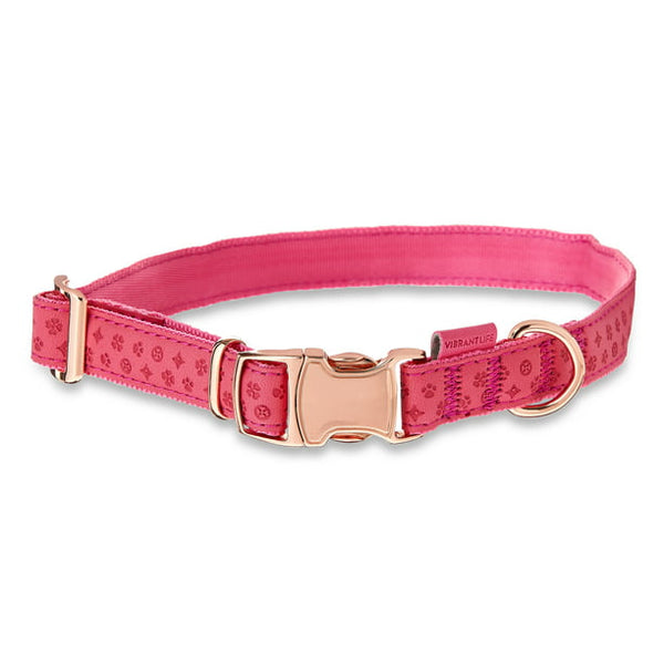 Vibrant Life Embossed Adjustable Dog Collar, Raspberry Pink, M